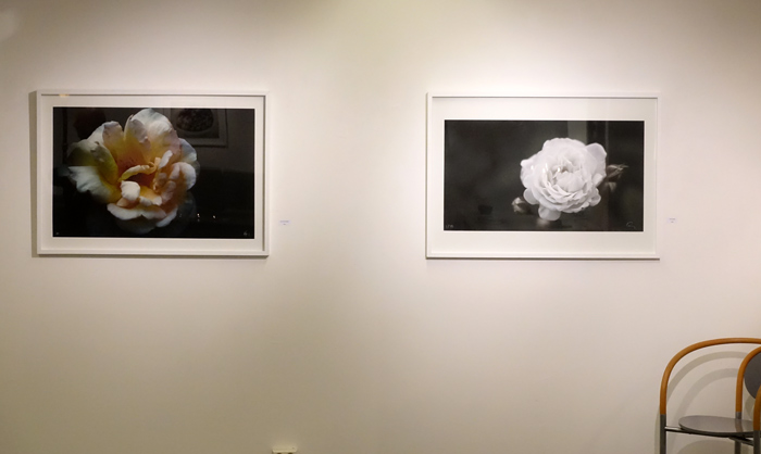 "Nyutsprungen" och "Vita rosen". Foto: Henry Bronett